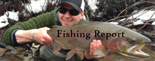 Fishing Report 10/02/13