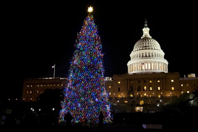 trip image for The US Capital Christmas Tree