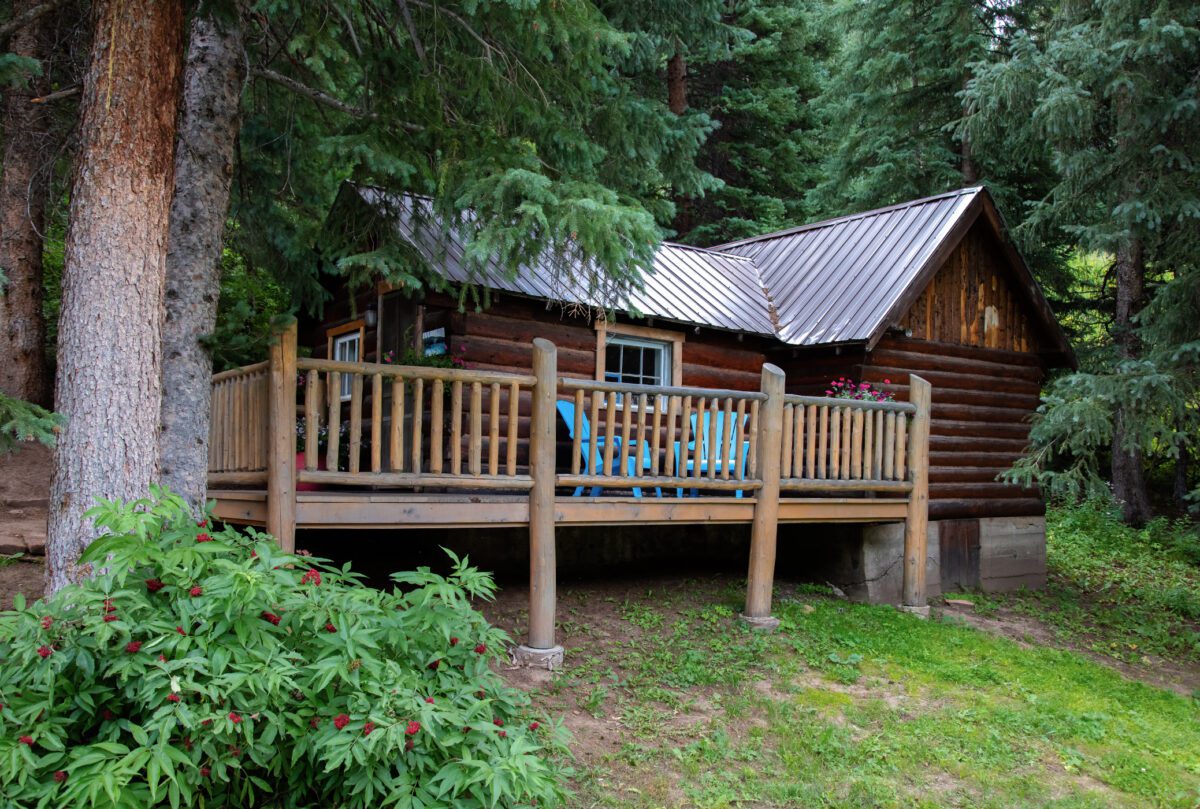 image for Moose Cabin