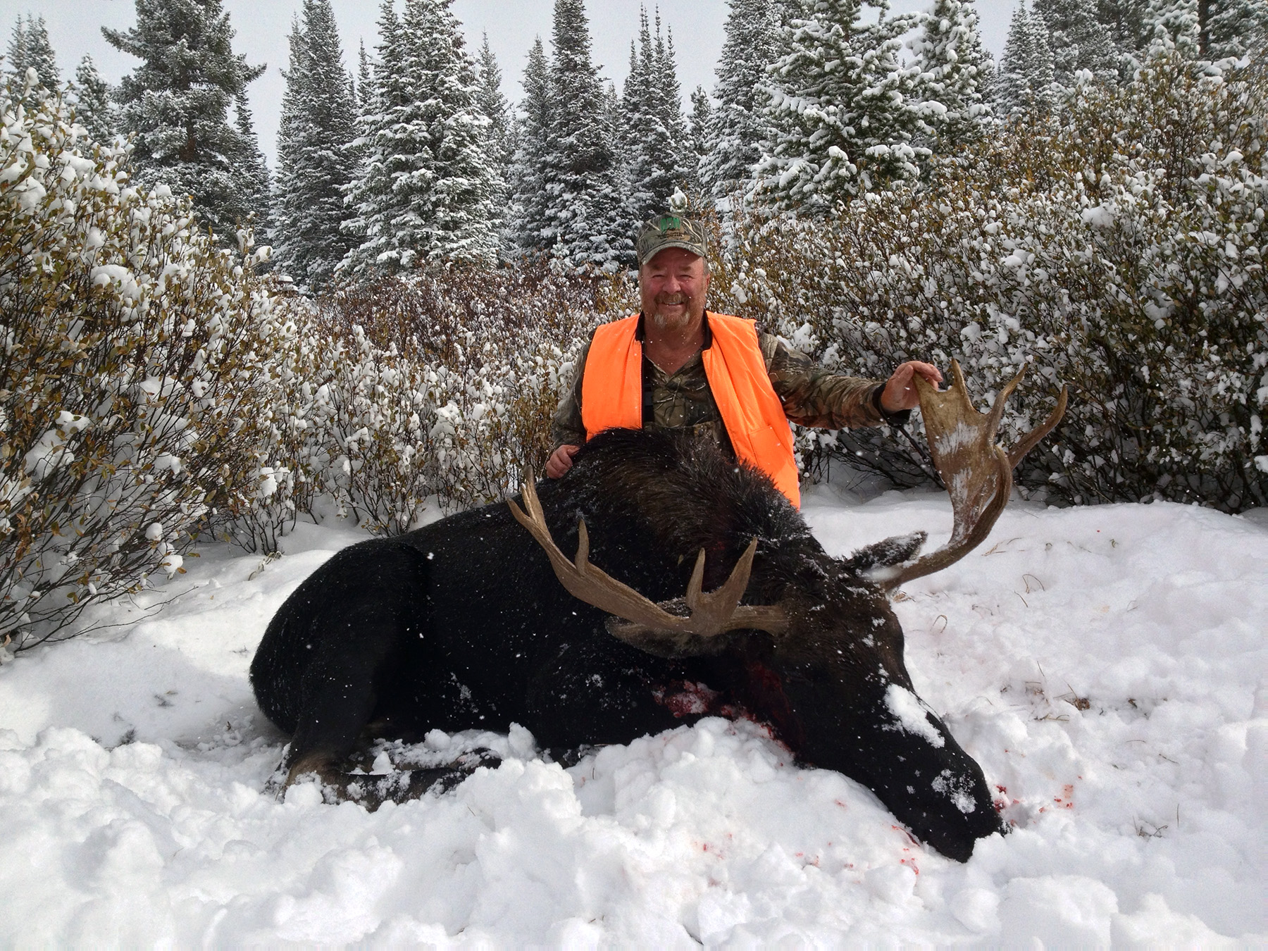 Moose Hunting