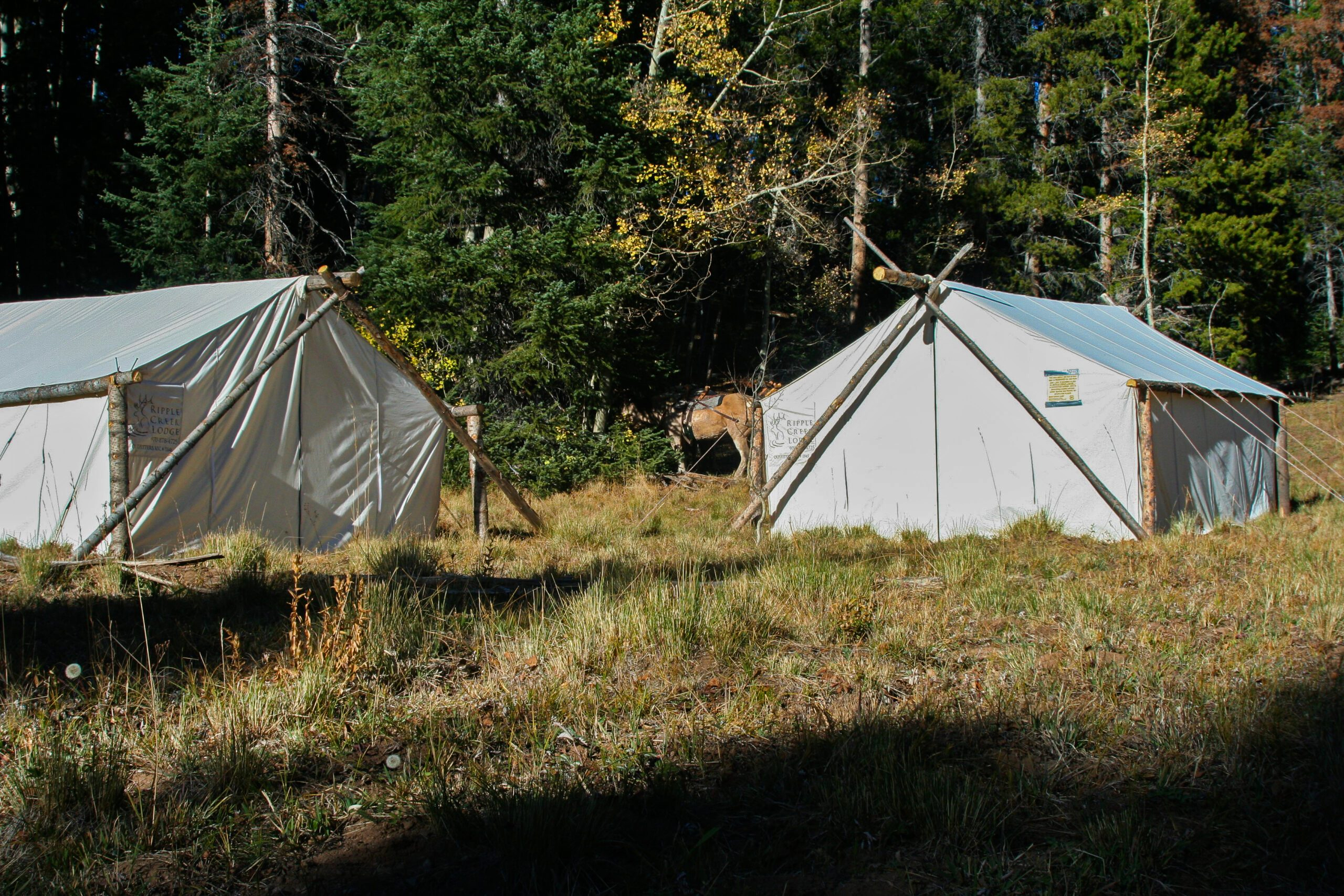 Wilderness Drop Camp